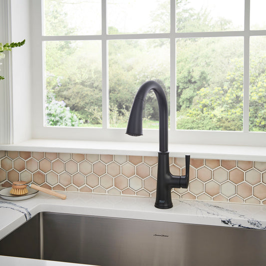Matte black kitchen faucet with a sleek, spotless finish after applying Fixture Shield home ceramic coating, providing durable protection against stains and scratches.